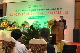 Bầu Đức: Kế hoạch HAGL lỗ hơn 350 tỷ năm 2020, kỳ vọng lớn vào nông nghiệp