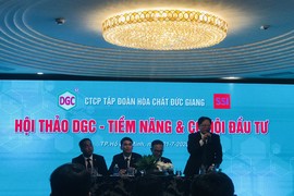 Doanh thu thuần của Hóa chất Đức Giang đạt hơn 3.096 tỷ đồng nửa đầu 2020