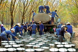 Chứng khoán phiên 18/12: Chú ý đến PHR, HPG, GAS