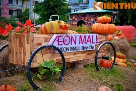 Giới trẻ Sài thành phấn khích với vườn bí ngô “khủng” đón Halloween