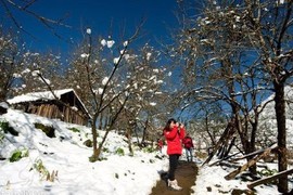 Lên Sa Pa săn tuyết, phượt thủ chớ quên làm những điều này