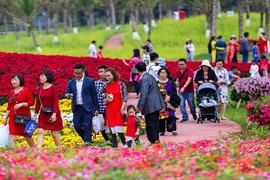 Lễ hội hoa xuân Ecopark: Không hợp gia đình trẻ nhỏ, giá cả đắt “chát“