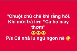 Bị Lý Nhã Kỳ "đá xéo", Ngọc Trinh công khai “đốp chát” trên MXH