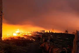 Cháy rừng ở California: Thêm gần 200.000 người cần sơ tán