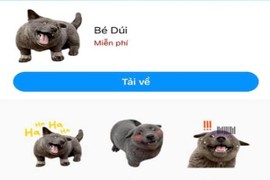 Idol "Nguyễn Văn Dúi" lại gây bão khi xuất hiện trong sticker trên MXH