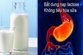 Video: Tại sao nhiều người bị đau bụng khi uống sữa? 