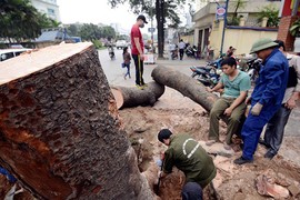 Những vụ tiêu tiền khủng khiếp của Hà Nội gây choáng váng