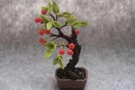 Mê tít những chậu bonsai cherry đẹp hút mắt