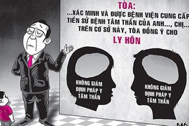 Phía sau tòa án: Nỗi đau vợ chồng tâm thần ly hôn