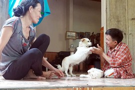 Chuyện tình "sét đánh" của cô gái lành lặn với chàng trai xương thủy tinh