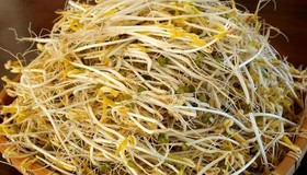 Triệt phá đường dây sản xuất 3.500 tấn giá đỗ ngâm hóa chất