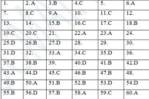 Gợi ý đáp án đề thi môn Vật lý khối A, A1 2013