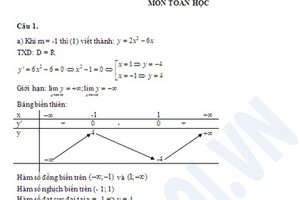 Gợi ý đáp án môn Toán khối B năm 2013