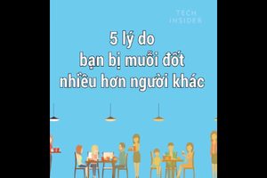 Video: Tại sao bạn bị muỗi đốt nhiều hơn người khác? 