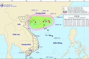 Áp thấp khả năng mạnh thành bão, giật cấp 10 và liên tục đổi hướng 