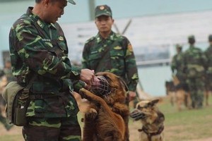 Mãn nhãn bộ đội biên phòng Việt Nam trình diễn sức mạnh