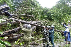 Các đơn vị quân đội tích cực khắc phục hậu quả bão số 1