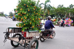 Rửa xe, sơn móng, chở thuê... hốt bạc nhờ Tết