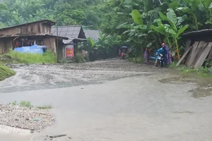 Thiên tai đang xảy ra không tuân theo các quy luật thông thường