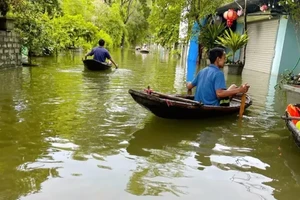 Chương Mỹ hỗ trợ người dân khôi phục sản xuất sau lũ lụt