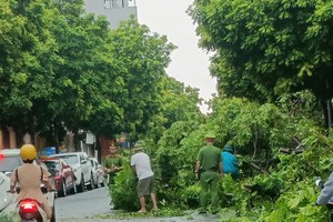 Nhiều tỉnh, thành tiếp tục cho học sinh nghỉ học sau bão số 3 Yagi