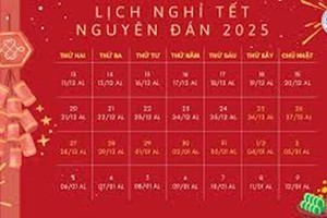 Thủ tướng đồng ý Tết Nguyên đán 2025 nghỉ 9 ngày liên tục