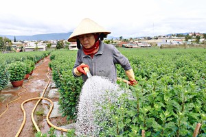 Cảnh giác chiêu lừa đặt mua bán rau, hoa dịp Tết rồi “bùng” tiền