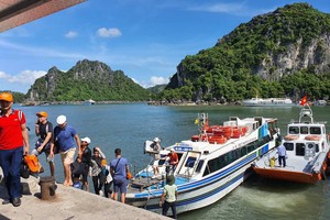 Tour giá siêu khuyến mãi dịp Tết, cẩn trọng sập bẫy lừa đảo