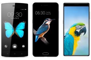 Bphone 3: Vì sao chọn chú vẹt rực rỡ sắc màu làm hình nền?