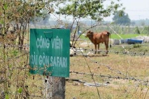 Thanh tra Chính phủ: TPHCM gây thất thoát hơn 104 tỷ tại dự án Safari