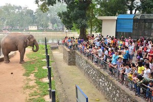 Đã có quyết định xây bãi đỗ xe ngầm trong công viên Thủ Lệ