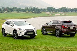 Lexus RX200t và RX350 bị triệu hồi tại thị trường Việt 