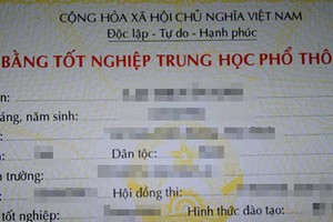 Sử dụng bằng rởm, Chủ tịch xã ở Đắk Nông bị cách chức