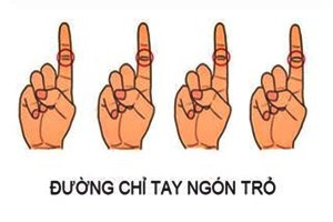 Đường chỉ tay ngón trỏ tiết lộ mệnh 'phượng hoàng hay bần nông'?