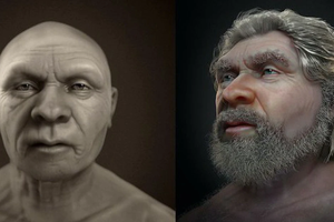 Phục dựng chân dung người Neanderthal, chuyên gia sửng sốt vì...