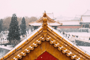 Tại sao trên nóc Tử Cấm Thành không bao giờ có phân chim?