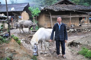 Ngôi làng kỳ lạ không bao giờ ăn thịt chó, thịt chim