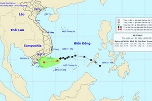 Thời tiết hôm nay 15/1: Mưa lớn diện rộng trên toàn miền Nam