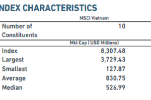 Duy nhất 2 cổ phiếu Việt Nam vào rổ MSCI Frontier Markets Index