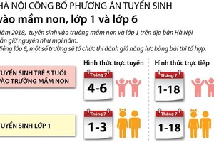 Infographic: Phương án tuyển sinh vào lớp 1, lớp 6