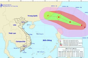 Tin mới nhất về cơn bão MEGI: Sức gió giật trên cấp 15