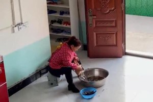 Đang vặt lông gà, hành động của bà mẹ khiến dân tình bật cười