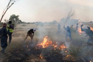 "Hoả ngục Sahara': Những bóng lưng tình nguyện đối đầu với lửa