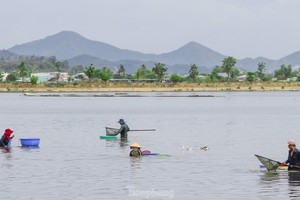 Mưu sinh bằng nghề cào hến trong lòng hồ ở dự án khu đô thị nghìn tỷ