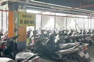 Tìm cách xử lý 650 xe máy "bỏ quên" tại sân bay Tân Sơn Nhất