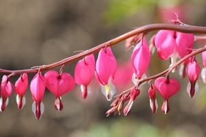 Người sinh vào ngày Âm lịch này tự tay lập nghiệp, tiền bạc dư dả