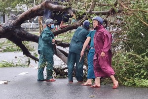 Đà Nẵng: Học sinh đi học trở lại từ sáng 29/9