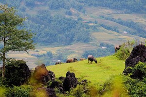 Đến Hầu Chư Ngài săn mây và trải nghiệm cuộc sống thuần khiết