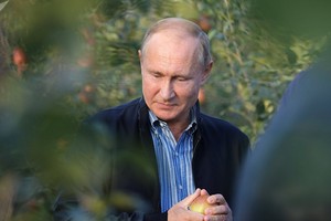 Tổng thống Putin chia sẻ bí quyết làm việc hiệu quả