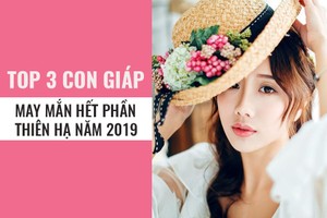 Tử vi năm 2019: Gọi tên 3 con giáp có thu nhập khủng, ăn tết 2019 to chưa từng thấy